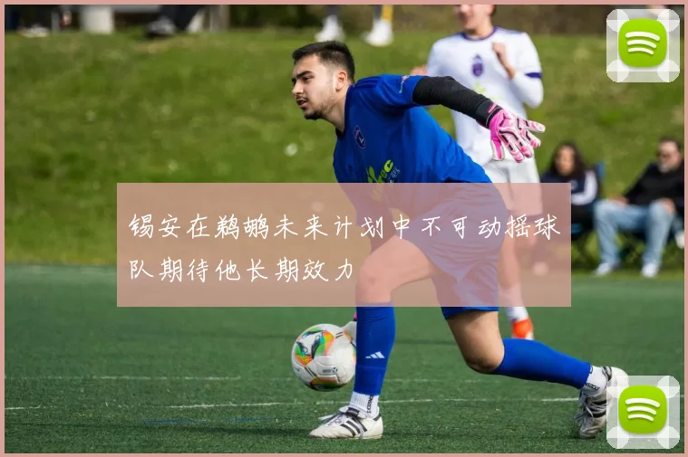 锡安在鹈鹕未来计划中不可动摇球队期待他长期效力